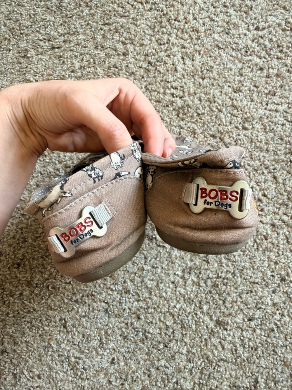Sketchers Bobs for Dogs Dog Print Shoes - Picture 4 of 5